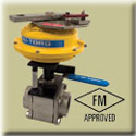 BI-TORQ&reg; Valve Automation