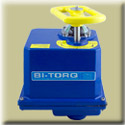 BI-TORQ&reg; Valve Automation
