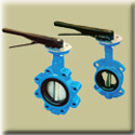 BI-TORQ&reg; Valve Automation