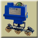 BI-TORQ&reg; Valve Automation