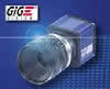 Digital Network Vision, LLC
