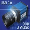 Digital Network Vision, LLC