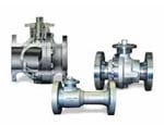 Flowserve Corporation - Argus