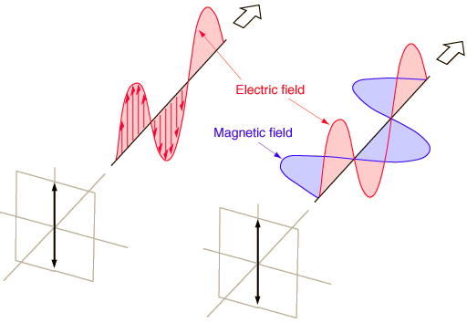 download dynamical concepts on scaling violation