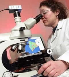 Scientist using microscope courtesy M+P Labs