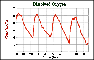 Dissolved oxyen essay