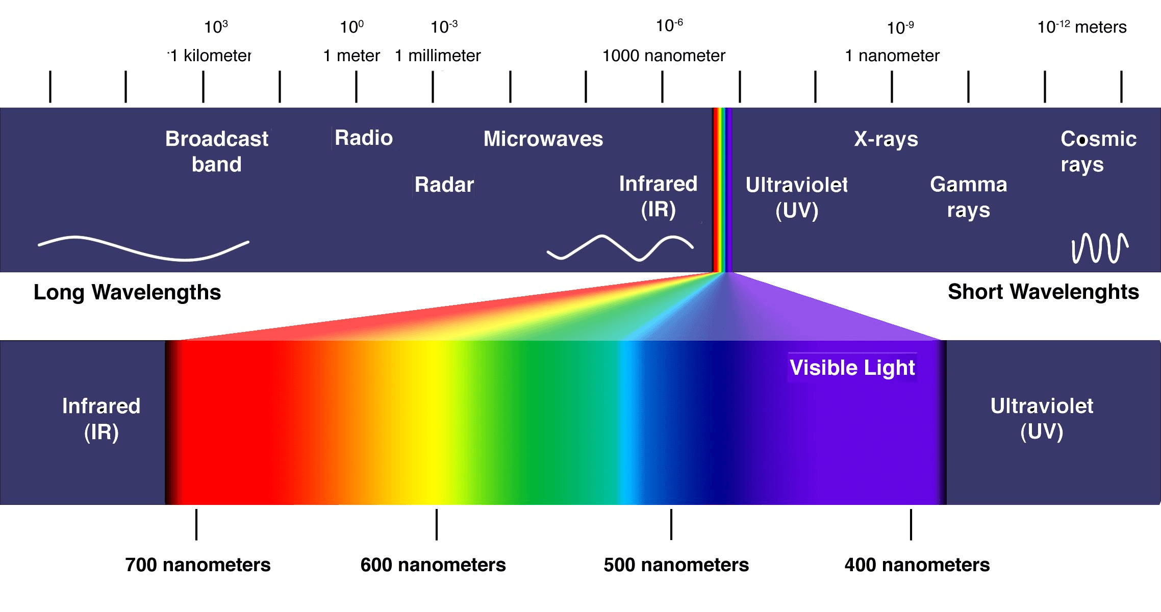 Electromagnetic Spectrum Visible Light Spectrum Visible Light