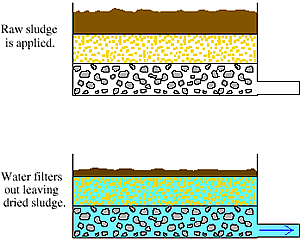 ... Diagram depicting how a drying bed operates. Image Credit: VCCS.edu