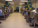 Lohmann Therapy Systems