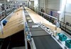 Crossbelt Sorters 