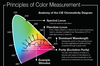 Radiant Vision Systems - Infographic: Principles of Light & Color