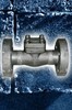 FORGED ANSI lift check valve-300LB