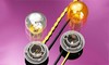One-piece Automotive Bulb Socket