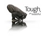 Abrisa Technologies Now has Gorilla® Glass