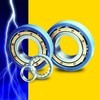 Electrically Insulated Bearings