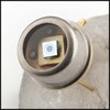 InGaAs Photodetectors
