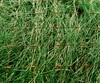 Discover our Unmatched Prostran® Synthetic Fibers 