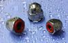 Self-Sealing Acorn Nuts