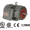 Explosion Proof Motors - High Efficiency