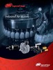 Ingersoll-Rand Air Motors (IND-0305-063) 