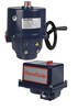 Electric Actuators