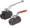 DynaQuip Controls - Carbon Steel Valves for Rugged Conditions