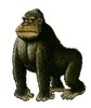 Taming the Gorilla with a MACH III Torque Limiter