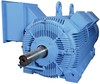 HYUNDAI Medium Voltage Motors
