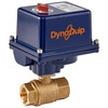 DynaQuip Controls - Electric Actuator with 2 PC Brass Valve 