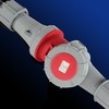 IP Protection