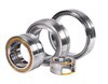 WD SL Series full complement roller bearings 