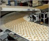 HP Conveyor and Process Polyurethane Belts