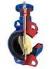 Series 300 One Shaft No Pins Concentric Butterfly