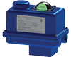 Indelac Controls, Inc. - Compact rotary electric actuator 