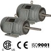 Close Coupled Pump Motors 