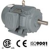 Shaker Screen Motors