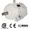 Oil Well Pump Motors 