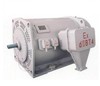 JOC-YB high voltage motor(560-800)