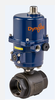 DynaQuip Controls - Electrically Actuated Carbon Steel Valves