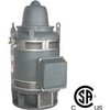 Vertical Hollow Shaft Motors - 230/460 Volt 