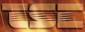 Technical Services For Electronics, Inc.