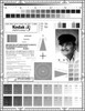 Ringelmann+Scale Ringelmann Scale http://www.globalspec.com/Industrial-Directory ...