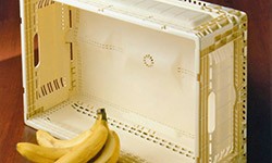 Prototype Shipping Container Holds Plenty Of APeel-Image