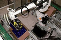 Robotic Automation-Image