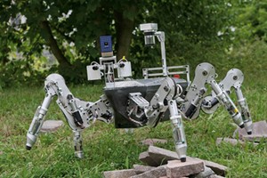 Nature Inspired Robotics -Image