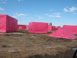 The Pink Project-Image