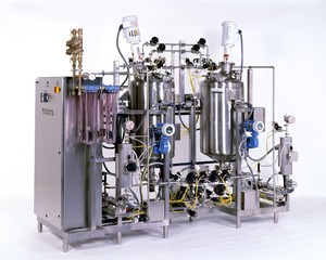 Vitamin Batching & Transfer-Image