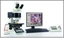 High Resolution Images - Ease of Analysis-Image