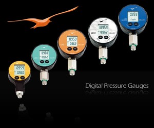 Digital Pressure Gauges-Image