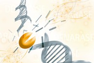 DENARASE Enzyme Used in Large-Scale Bioprocesses-Image
